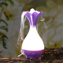 Load image into Gallery viewer, Jade Net Bottle Aromatherapy Humidifier